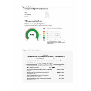 Комплексная проверка объектов недвижимости перед покупкой с заключением